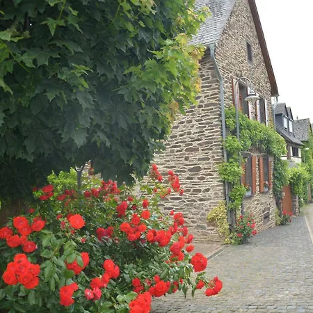 Im Maifeld *
